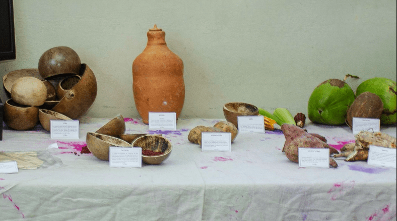 Un Voyage au Cœur de l’Héritage Précolombien : Retour sur l’Événement Survivance des Arawaks, Taïnos et Ciboneys